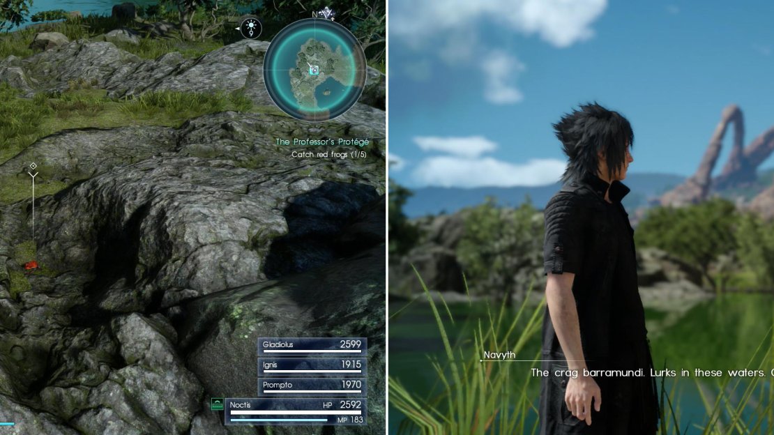 Hunt for Sania’s red frogs in the search area near Neeglyss Pond - their croaks will give them away (left). Talk to Navyth to enter into a friendly fishing competition (left).