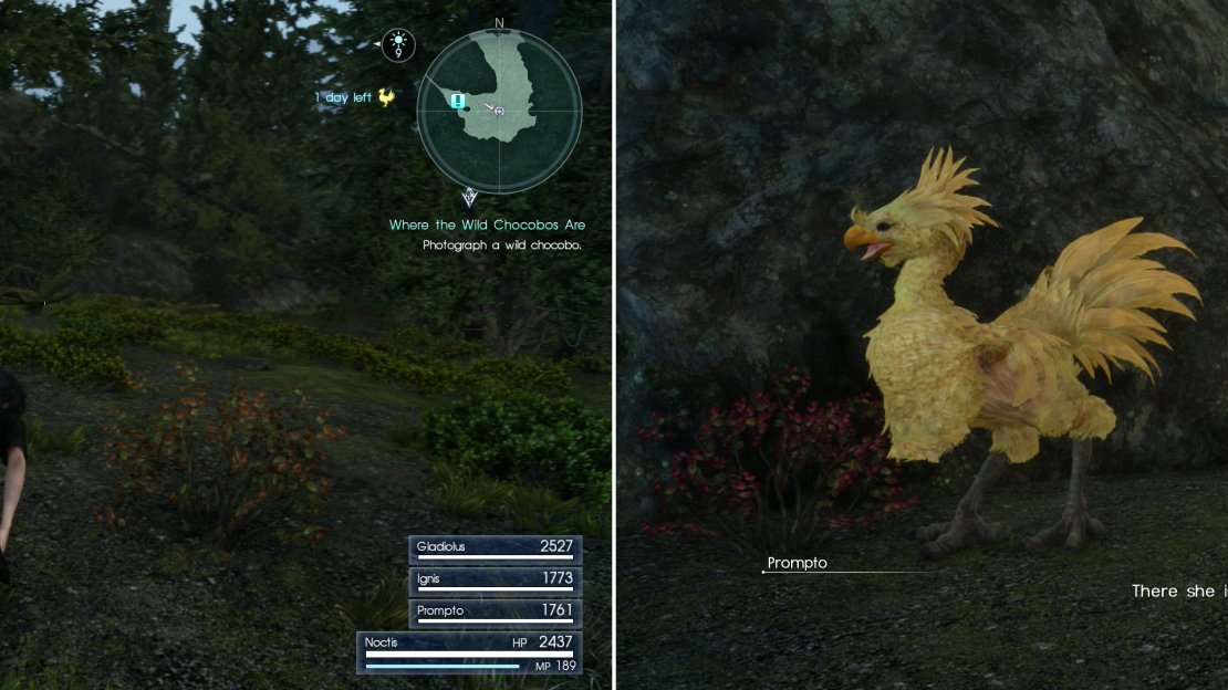 Chase down the wild Chocobo for Wiz (left) so Prompto can take its picture (right).