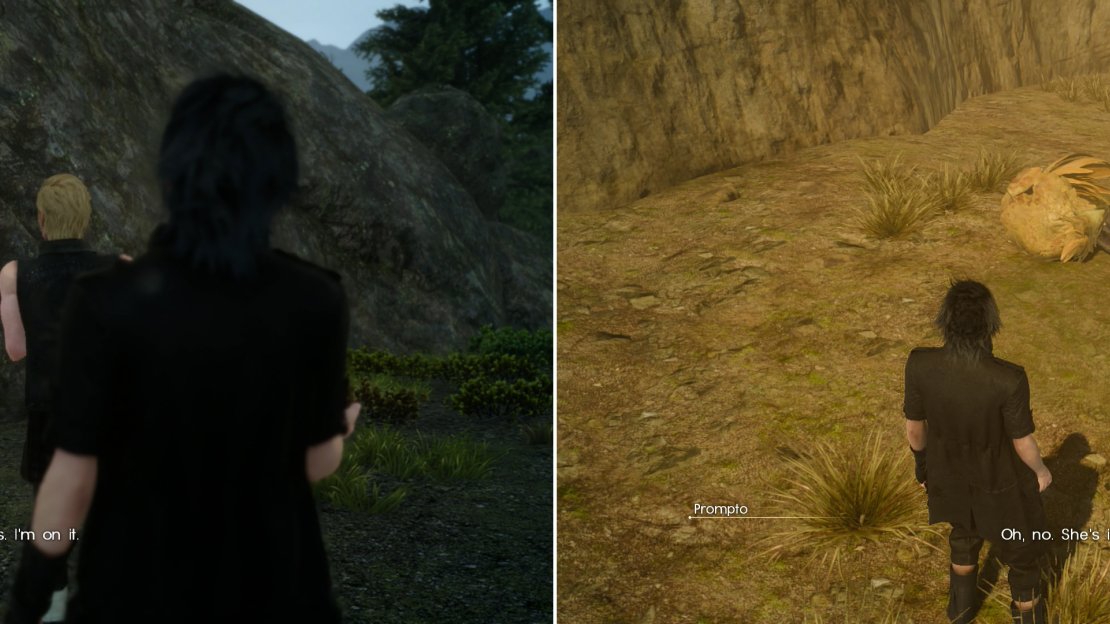 After proving yourself against Deadeye, Wiz will give you quests ranging from photographic wild Chocobos (left) to snatching injured birds out of the jaws of predators (right).