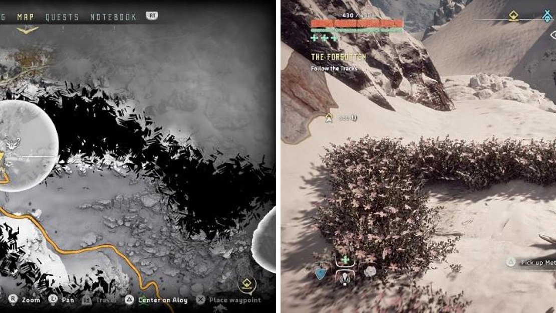 The location of Metal Flower - Mark III (C) on your map (left) and in the game (right).