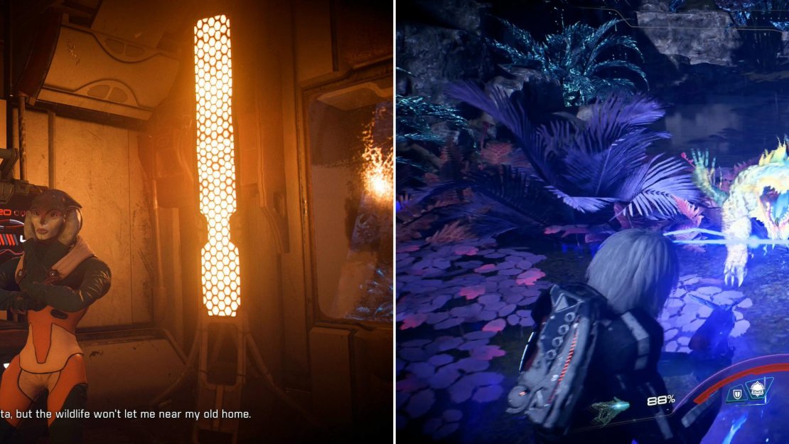 Raashel Vier will ask you to recover some research from her house (left). Fight through a pack of Challyrions to reach her abode (right).