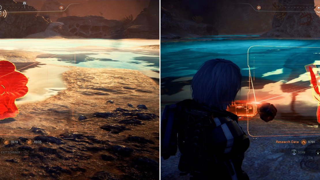 Find this edible plant on a small island in the lake north of the Kadara Slums (left), while another one can be found along the eastern shore of the lake near the Kadara settlement (right).