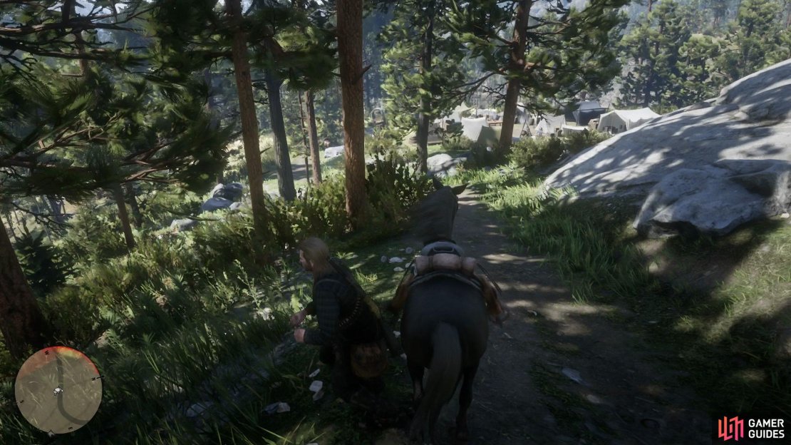 Leave the horse here just outside of camp.