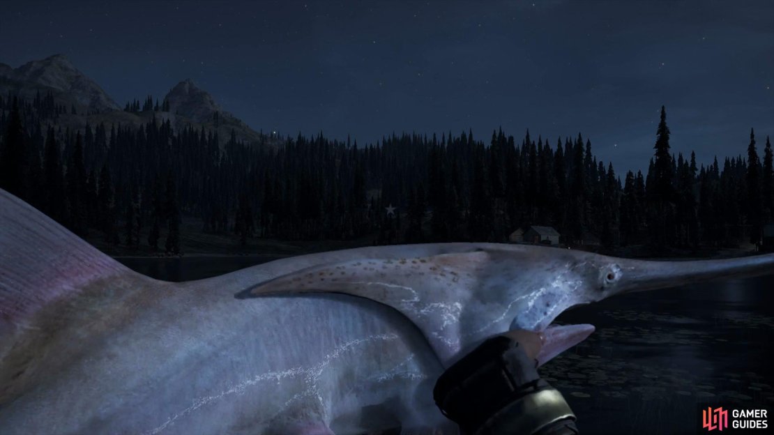 It may take several attempts to tire the fish first.