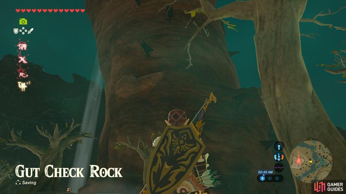 This is the Gut Check Rock. It’s very tall with platforms scattered around it