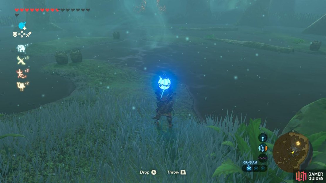 The Legend of Zelda: Breath of the Wild  Screenshot