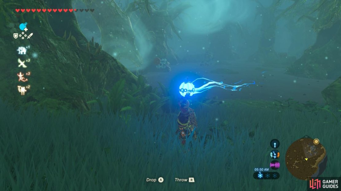 See the Octorok in the distance? You’ll want to use your Bow to shoot it (not a Bomb!)