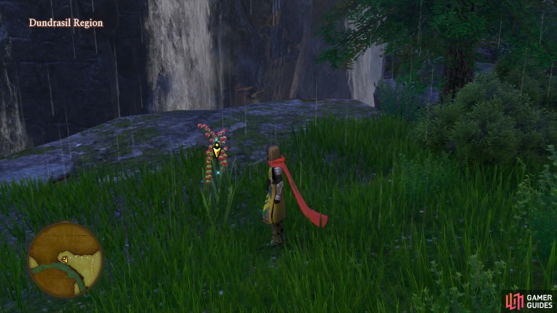 The gathering point will only appear if you accepted the quest back in Octagonia.