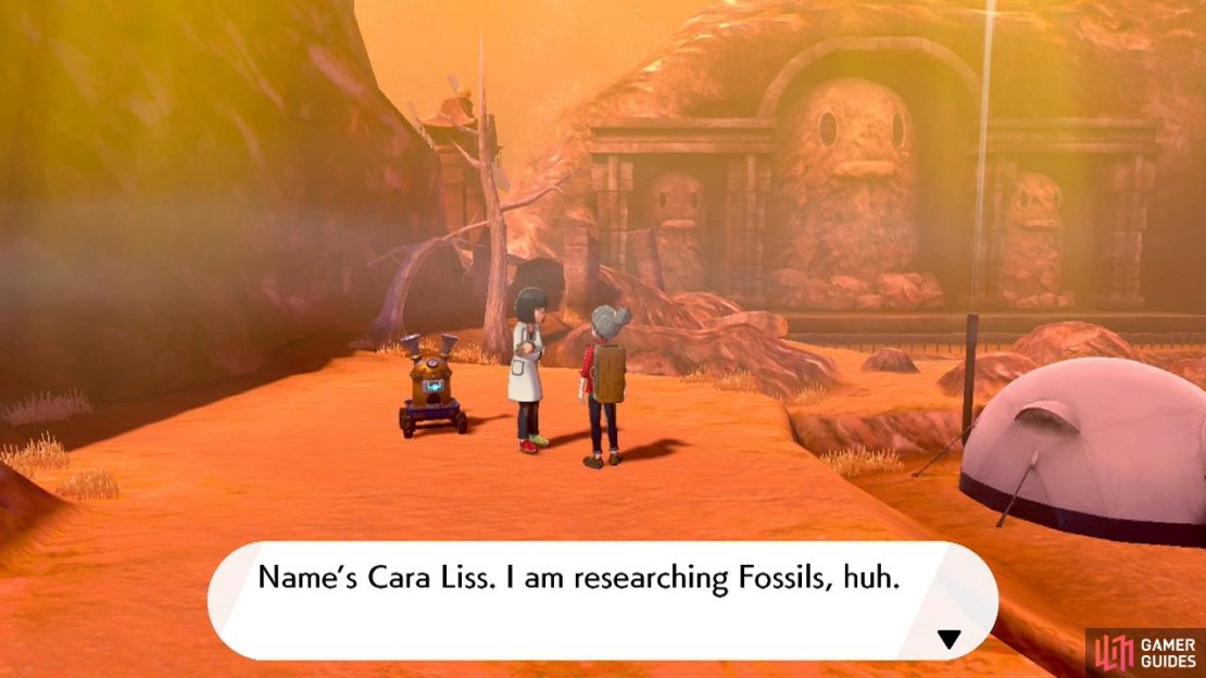 In a hurry to restore fossils? You can quickly get here by flying to the nearby camp site.