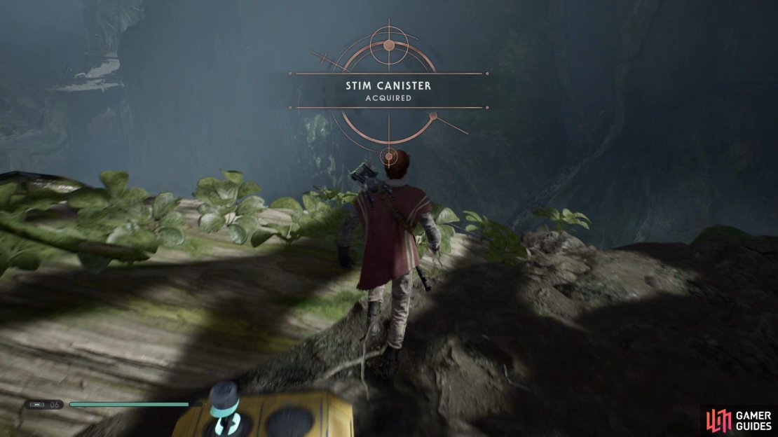 Use the jump pads to reach the branch above that has a golden chest hiding on top that contains the eighth Stim Canister. 