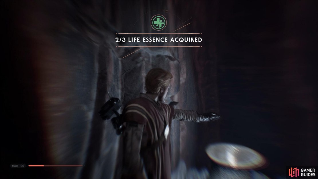 Head to the upper section of Strangled Cliffs and then push the cage down to be able to climb up and obtain the ninth Life Essence.