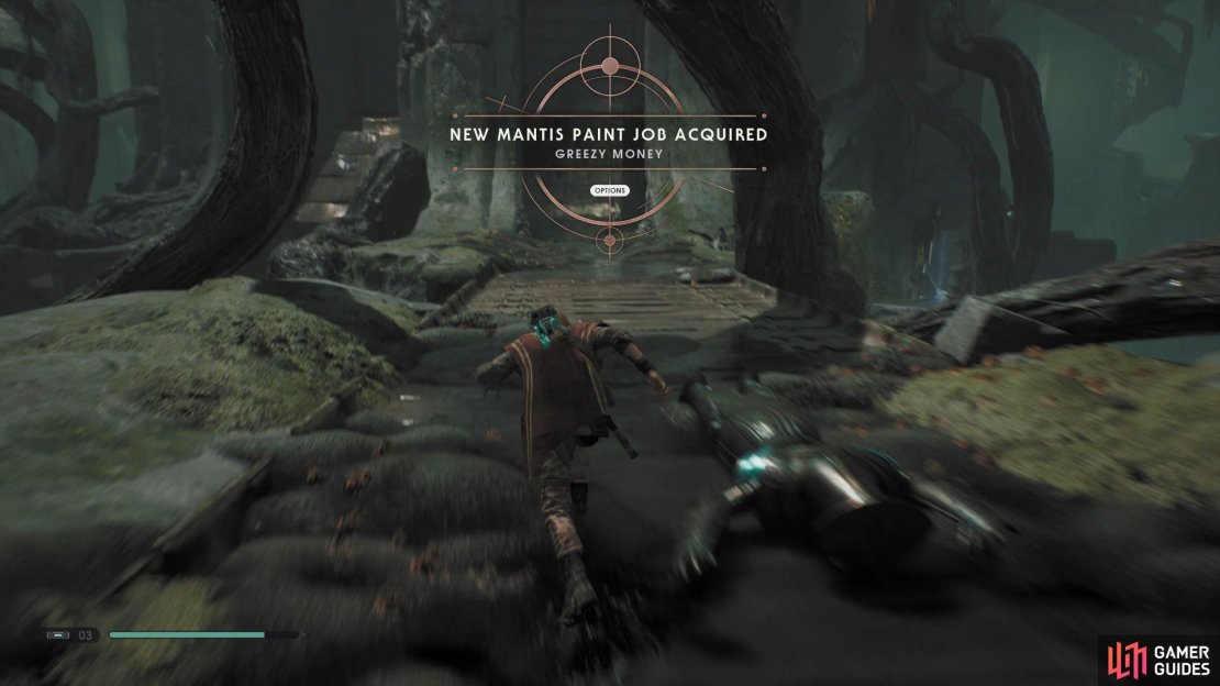 Collect the Greezy Money Mantis Skin from a Chest that’s hiding on the bridge at the start