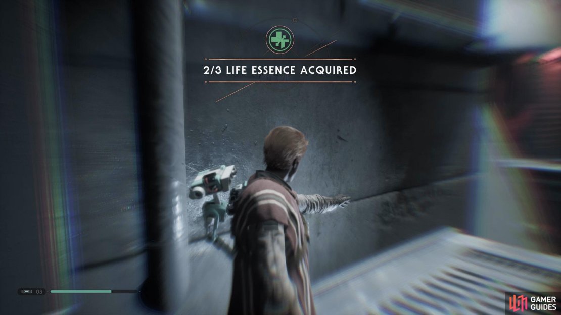 Follow the path around in the Overgrown Pass to find the tenth Life Essence.