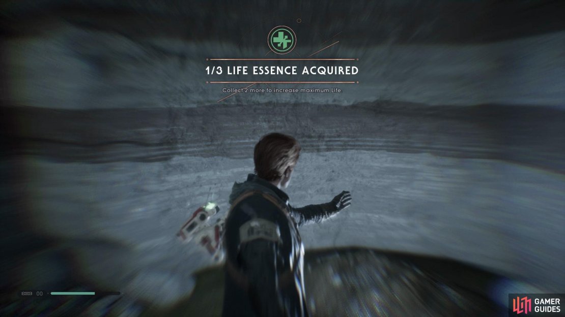 You’ll be able to find the second Life Essence behind Oggdo Bogdo.