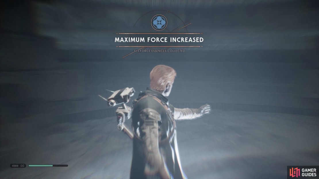 You’ll be able to locate the eleventh Force Essence underneath the floor in the Tomb of Eilram.