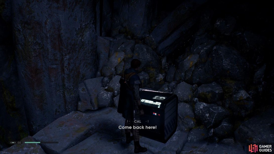 Head to the left of the Tomb in Windswept Ruins to find a Chest high up