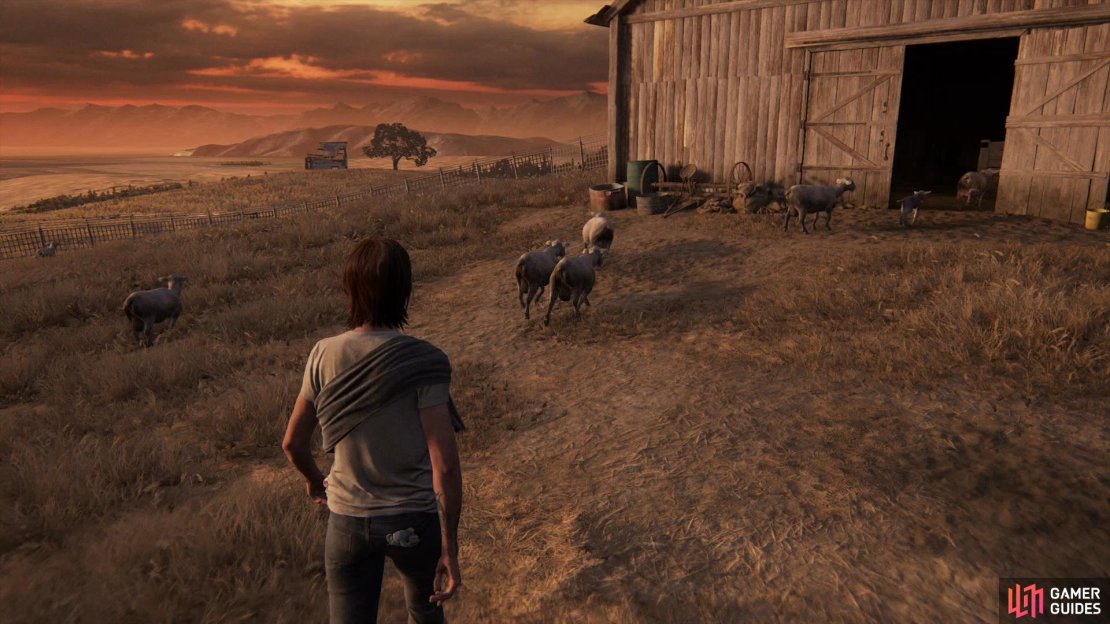 Walk behind the Sheep to direct them to the Barn. 