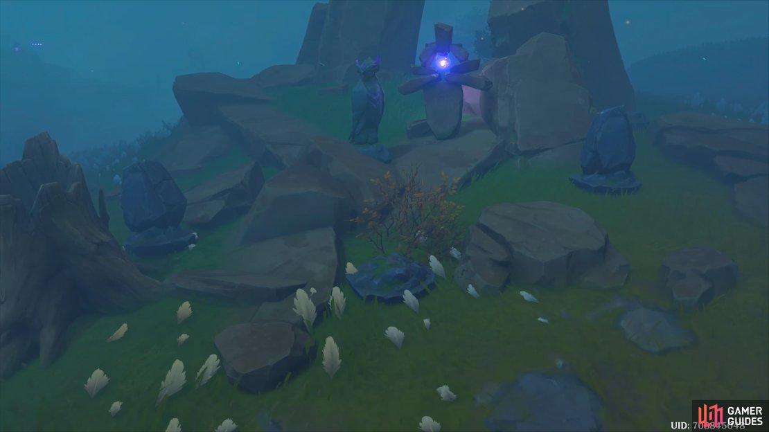 You can find this area on the west side of the path, at the south of the objective area.