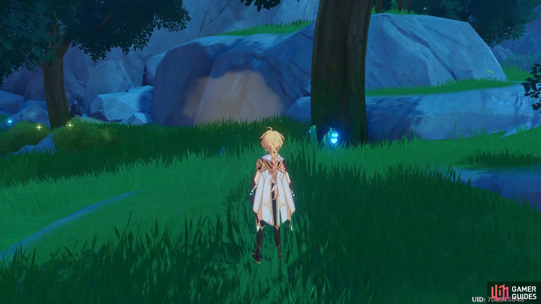 Traveler looking at the fresh Lamp Grass, resting in the shade from the large tree.