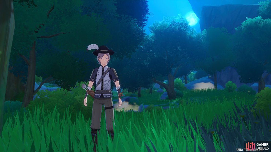 A stranger asking for Barbara’s aid in the Whispering Woods.