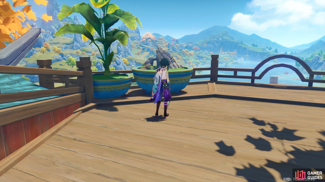 Xiao overlooking the balcony at the top of Wanshu Inn.