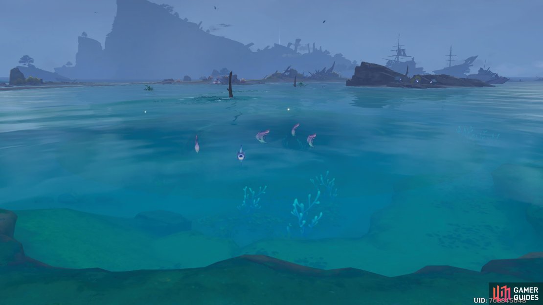 Paimon spots a school of Moonfins.