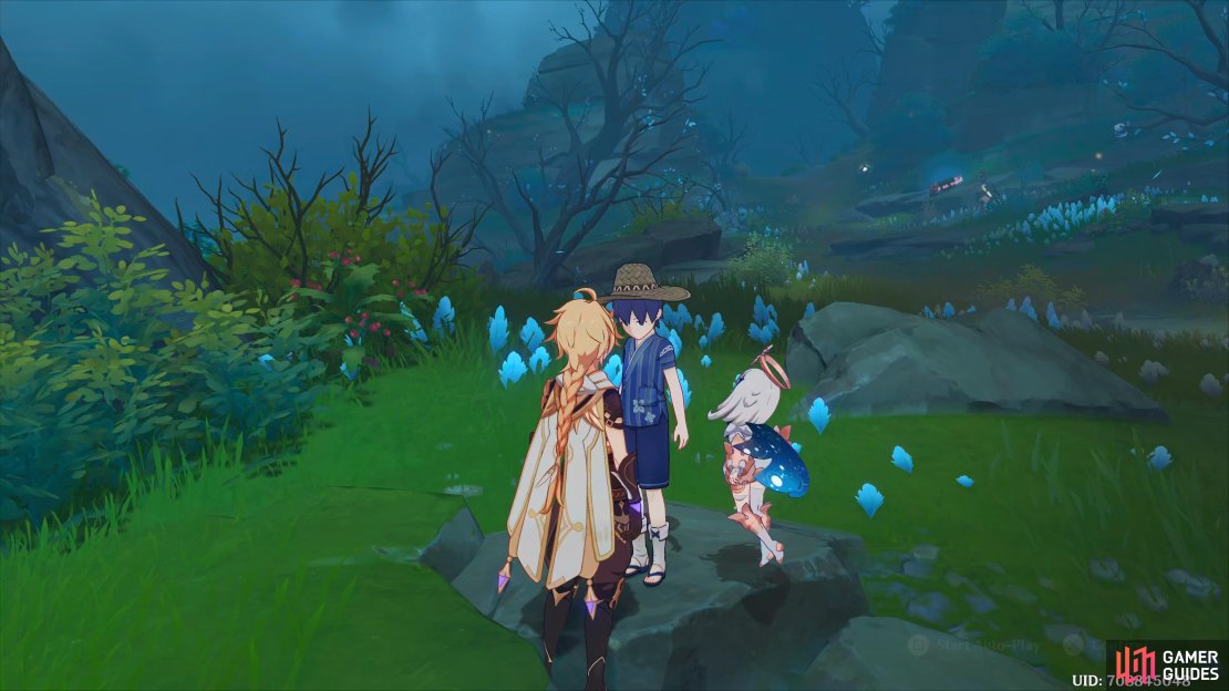 By talking to the mysterious boy, you’ll find out his name is Ruu.