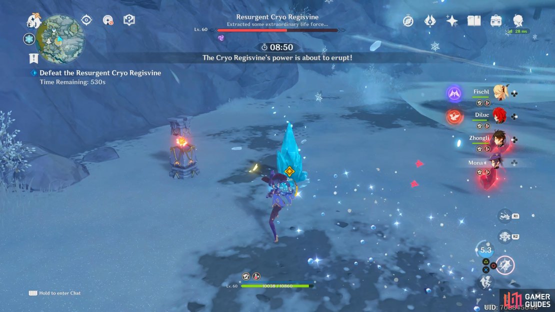 Destroy the Seed of Winter as soon as you see the Regisvine’s power is about to erupt!