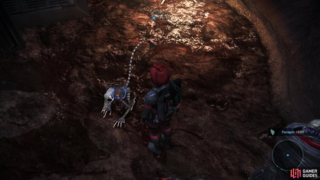 You can farm the monkeys on Eletania for infinite Paragon points.