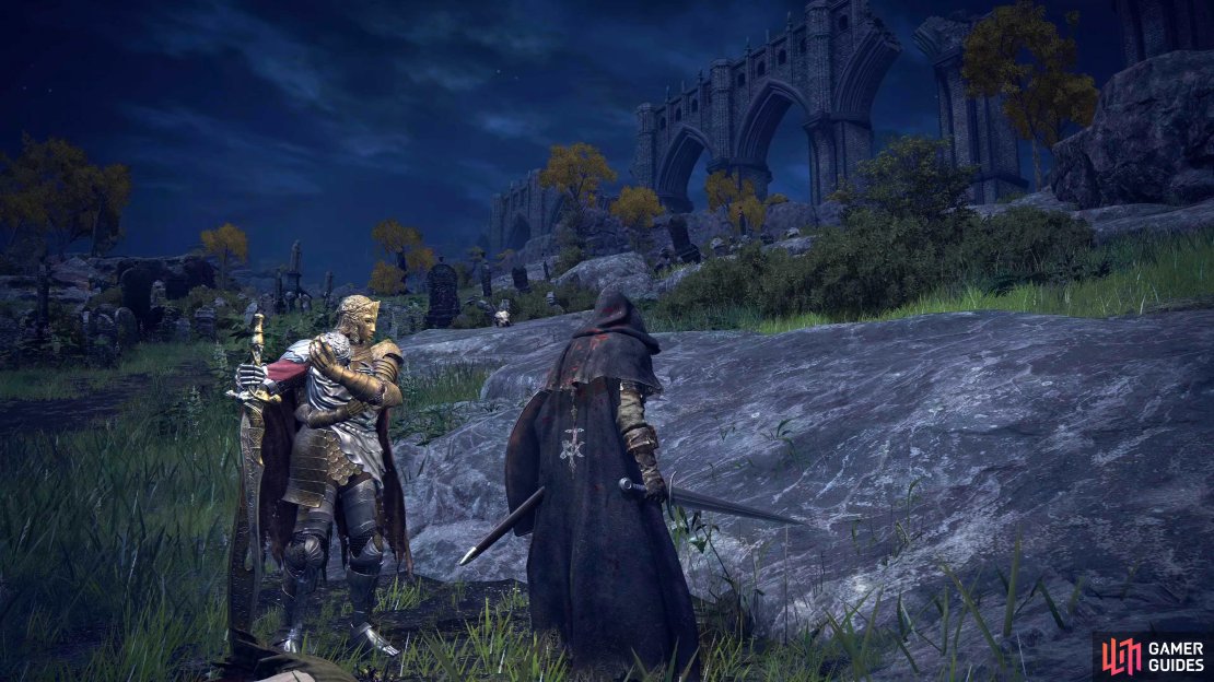 D, Hunter of the Undead, will warn you that Summonwater Village has been touched by death.