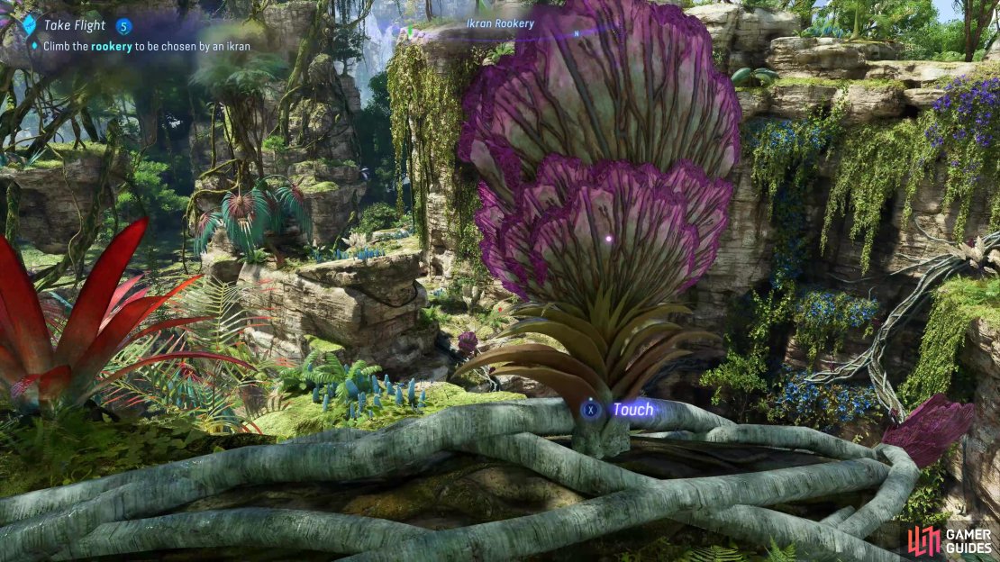 The first Gateway Lily can be found on the highest ledge here