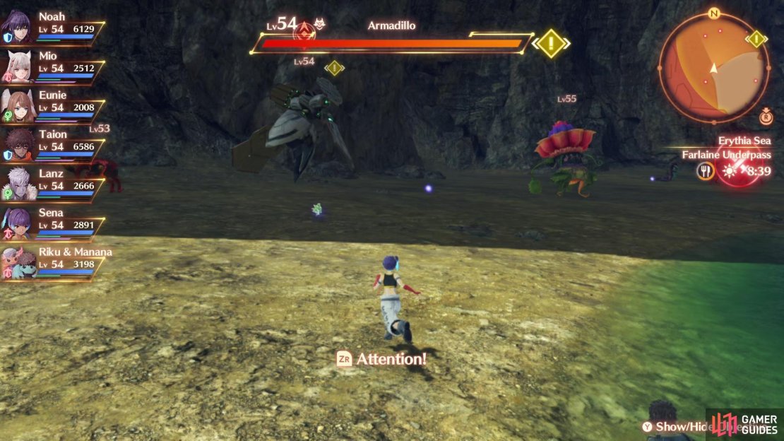You can find Cube Chips by defeating the Armadillos in this cave.