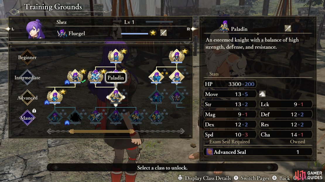 You’ll need to upgrade the Training Grounds to promote to Advanced or Master classes.