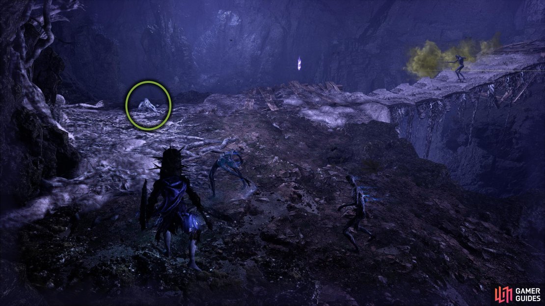 When you enter the Umbral Real. Be careful of the enemy above who will dive at you as you get over the bridge.