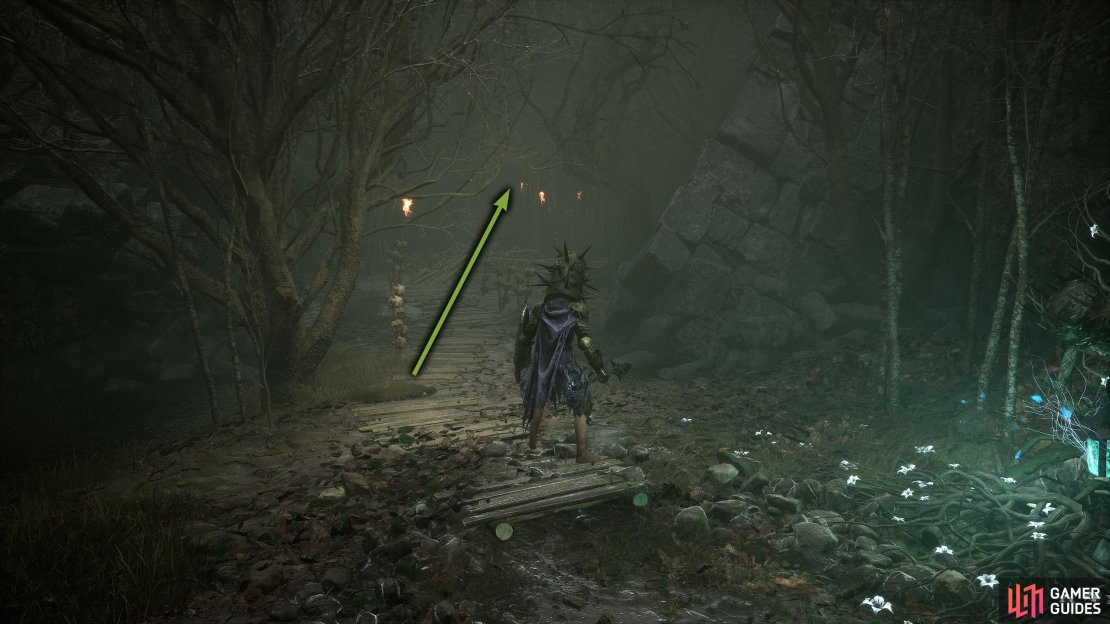 From the Pale Butcher Vestige, head forward across the bridge into the cave.