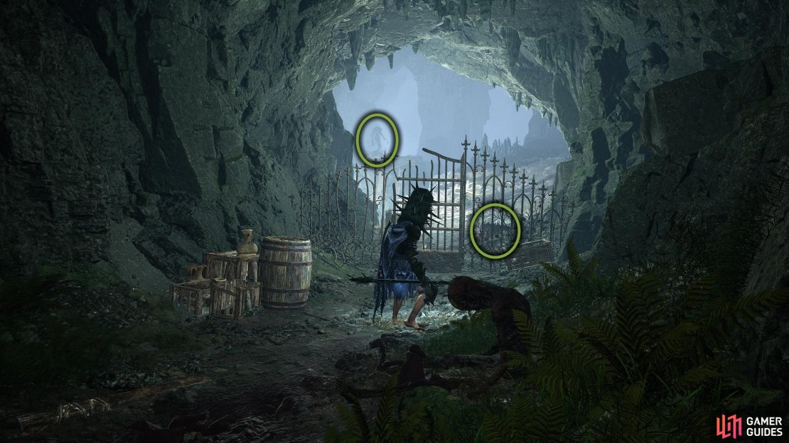 Pass through the gate by holding out your lamp.
