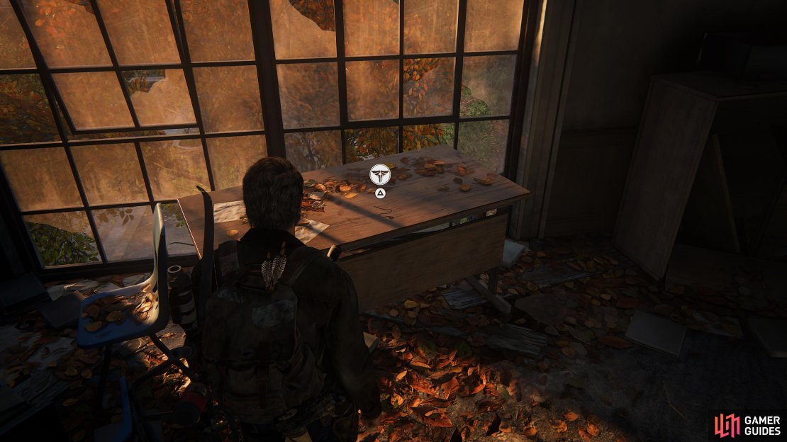 Collect the Firefly Pendant - Alex Rohner  from the desk.