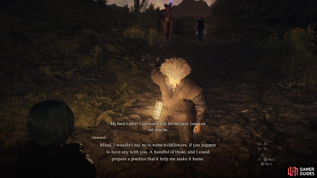 Along the western edge of the Agamen Volcanic Island you’ll find the dwarf Gautstafr.