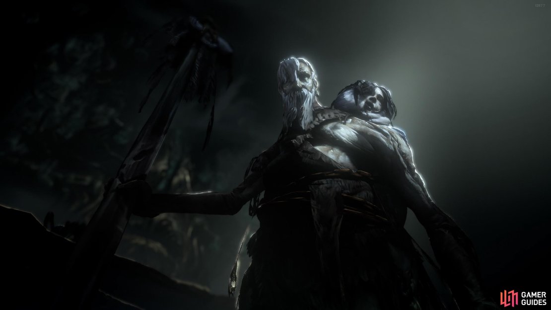 The Riven Twins is the main boss of Nameless Pass.