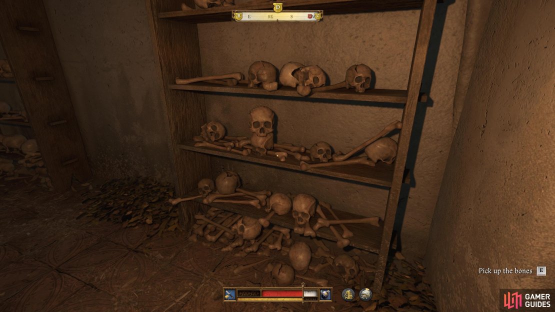 Take all of the bones from the shelves and floor.