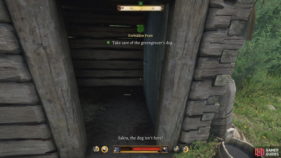 Check out the shed where the dog is meant to be to find out it’s gone.