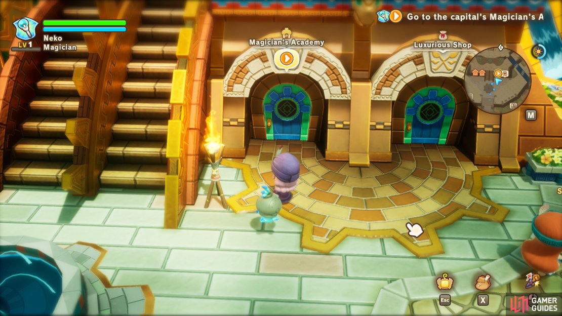 Magician’s Academy