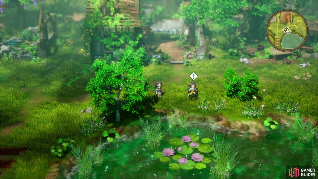 Find Zalen in the Forgotten Ruins, near a pond,