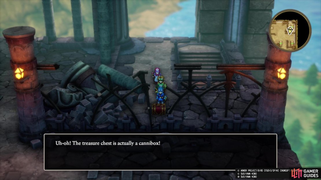 Some of the treasure chests in this dungeon are actually Canniboxes!