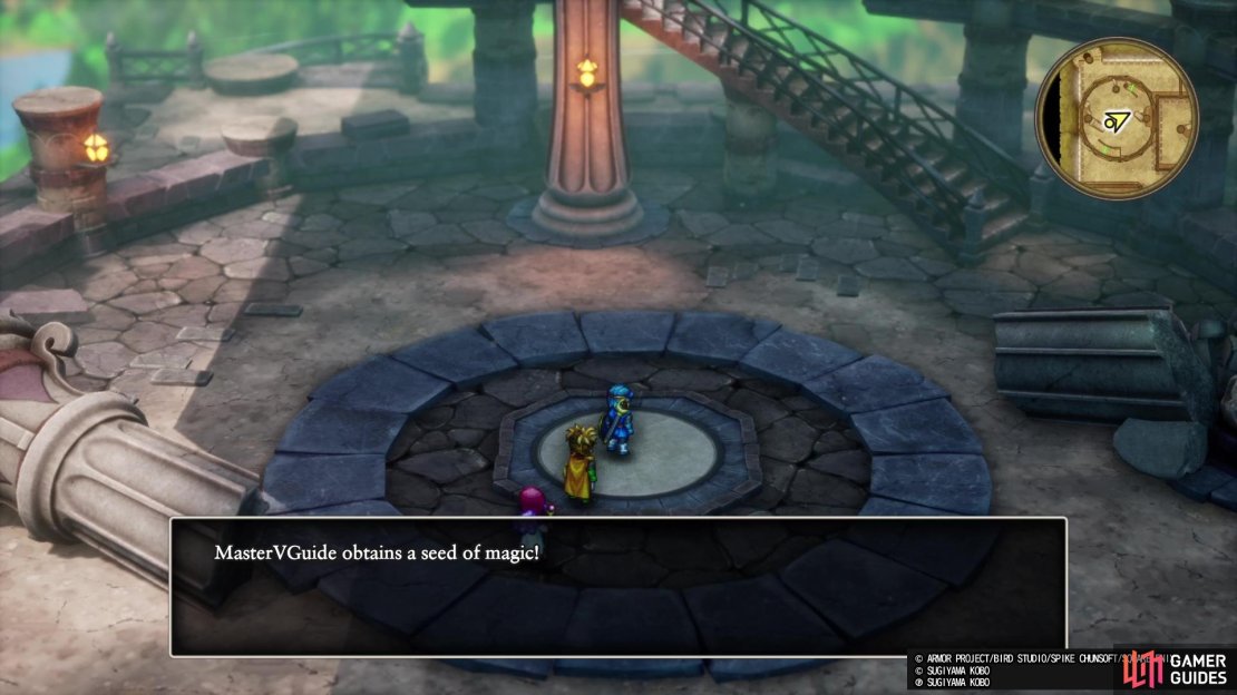 Check the middle of the 5F in the spiral section for a Seed of Magic.