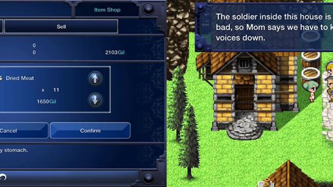 Buy the Dried Meat from the Item Shop. You only need one. The soldier in the house is part of a minigame. Go back and forth between the house and the carrier pigeon house.