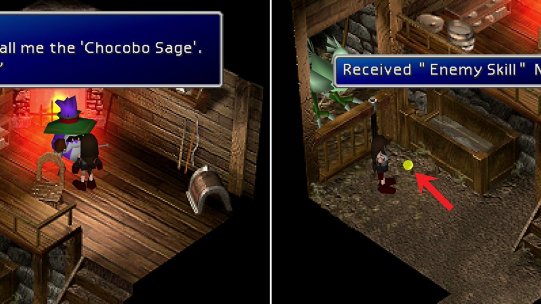 The Chocobo Sage will tell you all you need to know about breeding rare Chocobos (left). Be sure to talk to the Green Chocobo to obtain the final piece of Enemy Skill Materia (right).