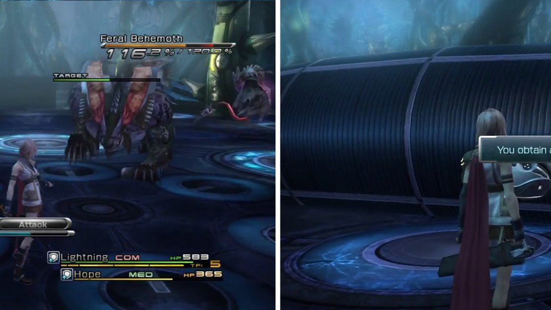 Feral Behemoth. (left) Watchman’s Amulet (right).