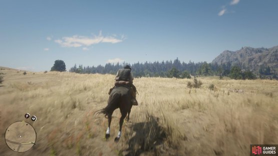 ignore the road and head across the plains to Beecher’s Hope.