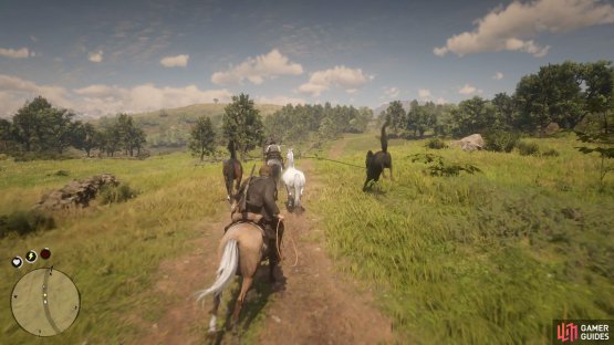 prepare the Lasso once you see the right horse begin bucking.